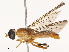  ( - CBG-B17211-G10)  @11 [ ] CreativeCommons - Attribution Share - Alike (2025) CBG Photography Group Centre for Biodiversity Genomics