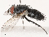  ( - CBG-B17211-G12)  @11 [ ] CreativeCommons - Attribution Share - Alike (2025) CBG Photography Group Centre for Biodiversity Genomics