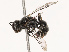  ( - CBG-B19168-F08)  @11 [ ] CreativeCommons - Attribution Share - Alike (2025) CBG Photography Group Centre for Biodiversity Genomics