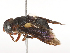  ( - CBG-B00049-D02)  @11 [ ] CreativeCommons - Attribution Share - Alike (2025) CBG Photography Group Centre for Biodiversity Genomics