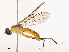  ( - CBG-B00080-B06)  @11 [ ] CreativeCommons - Attribution Share - Alike (2025) CBG Photography Group Centre for Biodiversity Genomics