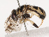  ( - CBG-B19166-A02)  @11 [ ] CreativeCommons - Attribution Share - Alike (2025) CBG Photography Group Centre for Biodiversity Genomics