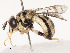  ( - CBG-B19166-B08)  @11 [ ] CreativeCommons - Attribution Share - Alike (2025) CBG Photography Group Centre for Biodiversity Genomics