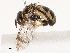  ( - CBG-B19166-C06)  @11 [ ] CreativeCommons - Attribution Share - Alike (2025) CBG Photography Group Centre for Biodiversity Genomics