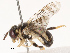  ( - CBG-B19166-C09)  @11 [ ] CreativeCommons - Attribution Share - Alike (2025) CBG Photography Group Centre for Biodiversity Genomics