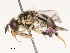  ( - CBG-B19166-C12)  @11 [ ] CreativeCommons - Attribution Share - Alike (2025) CBG Photography Group Centre for Biodiversity Genomics