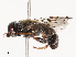  ( - CBG-B19175-C01)  @11 [ ] CreativeCommons - Attribution Share - Alike (2025) CBG Photography Group Centre for Biodiversity Genomics