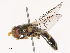  ( - CBG-B19175-D01)  @11 [ ] CreativeCommons - Attribution Share - Alike (2025) CBG Photography Group Centre for Biodiversity Genomics