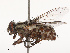  ( - CBG-B19182-B08)  @11 [ ] CreativeCommons - Attribution Share - Alike (2025) CBG Photography Group Centre for Biodiversity Genomics