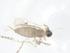  ( - CBG-B23423-H09)  @11 [ ] CreativeCommons - Attribution Share - Alike (2025) Centre for Biodiversity Genomics Centre for Biodiversity Genomics