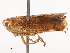  ( - CBG-B19173-E06)  @11 [ ] CreativeCommons - Attribution Share - Alike (2025) CBG Photography Group Centre for Biodiversity Genomics