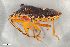  ( - ZFMK-TIS-2559253)  @11 [ ] CreativeCommons  Attribution Share-Alike (by-sa) 640 (2016) Unspecified Zoologisches Forschungsmuseum Alexander Koenig