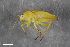  ( - ZFMK-TIS-2570961)  @11 [ ] CreativeCommons  Attribution Share-Alike (by-sa) 640 (2016) Unspecified Zoologisches Forschungsmuseum Alexander Koenig