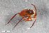  ( - ZFMK-TIS-2597458)  @11 [ ] CreativeCommons  Attribution Share-Alike (by-sa) 640 (2017) Unspecified Zoologisches Forschungsmuseum Alexander Koenig