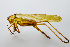  ( - H-GX-F-050)  @11 [ ] CreativeCommons-Attribution Share-Alike (2025) Zhi-jun Zhou Hebei University, Museum