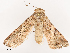  ( - CBG-B07584-A07)  @11 [ ] CreativeCommons - Attribution Share - Alike (2025) CBG Photography Group Centre for Biodiversity Genomics