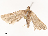  ( - CBG-B07584-D12)  @11 [ ] CreativeCommons - Attribution Share - Alike (2025) CBG Photography Group Centre for Biodiversity Genomics