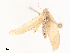  ( - CBG-B07584-F10)  @11 [ ] CreativeCommons - Attribution Share - Alike (2025) CBG Photography Group Centre for Biodiversity Genomics