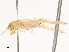  ( - CBG-B07590-D02)  @11 [ ] CreativeCommons - Attribution Share - Alike (2025) CBG Photography Group Centre for Biodiversity Genomics