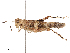  ( - CBG-B14769-G06)  @11 [ ] CreativeCommons - Attribution Share - Alike (2025) CBG Photography Group Centre for Biodiversity Genomics