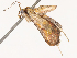  ( - CBG-B17285-G05)  @11 [ ] CreativeCommons - Attribution Share - Alike (2025) CBG Photography Group Centre for Biodiversity Genomics