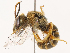  ( - CBG-B17285-H07)  @11 [ ] CreativeCommons - Attribution Share - Alike (2025) CBG Photography Group Centre for Biodiversity Genomics