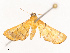  ( - CBG-B19175-F06)  @11 [ ] CreativeCommons - Attribution Share - Alike (2025) CBG Photography Group Centre for Biodiversity Genomics