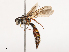  ( - CBG-B21228-A06)  @11 [ ] CreativeCommons - Attribution Share - Alike (2025) CBG Photography Group Centre for Biodiversity Genomics