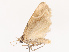  ( - CBG-B14794-G02)  @11 [ ] CreativeCommons - Attribution Share - Alike (2025) CBG Photography Group Centre for Biodiversity Genomics