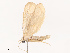  ( - CBG-B14794-G07)  @11 [ ] CreativeCommons - Attribution Share - Alike (2025) CBG Photography Group Centre for Biodiversity Genomics