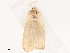  ( - CBG-B14794-G08)  @11 [ ] CreativeCommons - Attribution Share - Alike (2025) CBG Photography Group Centre for Biodiversity Genomics