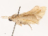  ( - CBG-B14794-G09)  @11 [ ] CreativeCommons - Attribution Share - Alike (2025) CBG Photography Group Centre for Biodiversity Genomics
