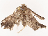  ( - CBG-B17212-D03)  @11 [ ] CreativeCommons - Attribution Share - Alike (2025) CBG Photography Group Centre for Biodiversity Genomics