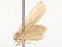  ( - CBG-B19164-B08)  @11 [ ] CreativeCommons - Attribution Share - Alike (2025) CBG Photography Group Centre for Biodiversity Genomics