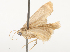  ( - CBG-B19164-B11)  @11 [ ] CreativeCommons - Attribution Share - Alike (2025) CBG Photography Group Centre for Biodiversity Genomics