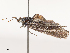  ( - CBG-B19164-C09)  @11 [ ] CreativeCommons - Attribution Share - Alike (2025) CBG Photography Group Centre for Biodiversity Genomics