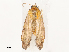  ( - CBG-B19164-D07)  @11 [ ] CreativeCommons - Attribution Share - Alike (2025) CBG Photography Group Centre for Biodiversity Genomics