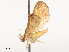  ( - CBG-B19164-E04)  @11 [ ] CreativeCommons - Attribution Share - Alike (2025) CBG Photography Group Centre for Biodiversity Genomics