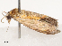  ( - CBG-B19164-F01)  @11 [ ] CreativeCommons - Attribution Share - Alike (2025) CBG Photography Group Centre for Biodiversity Genomics