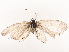  ( - CBG-B19166-E11)  @11 [ ] CreativeCommons - Attribution Share - Alike (2025) CBG Photography Group Centre for Biodiversity Genomics