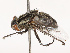  ( - CBG-B19166-G05)  @11 [ ] CreativeCommons - Attribution Share - Alike (2025) CBG Photography Group Centre for Biodiversity Genomics