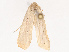  ( - CBG-B19167-A01)  @11 [ ] CreativeCommons - Attribution Share - Alike (2025) CBG Photography Group Centre for Biodiversity Genomics