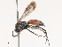  ( - CBG-B19174-G04)  @11 [ ] CreativeCommons - Attribution Share - Alike (2025) CBG Photography Group Centre for Biodiversity Genomics