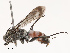  ( - CBG-B19177-C08)  @11 [ ] CreativeCommons - Attribution Share - Alike (2025) CBG Photography Group Centre for Biodiversity Genomics