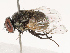  ( - CBG-B19177-E05)  @11 [ ] CreativeCommons - Attribution Share - Alike (2025) CBG Photography Group Centre for Biodiversity Genomics