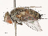  ( - CBG-B19177-G12)  @11 [ ] CreativeCommons - Attribution Share - Alike (2025) CBG Photography Group Centre for Biodiversity Genomics
