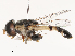  ( - CBG-B21231-H03)  @11 [ ] CreativeCommons - Attribution Share - Alike (2025) CBG Photography Group Centre for Biodiversity Genomics