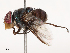  ( - CBG-B17213-E03)  @11 [ ] CreativeCommons - Attribution Share - Alike (2025) CBG Photography Group Centre for Biodiversity Genomics