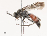  ( - CBG-B19173-B02)  @11 [ ] CreativeCommons - Attribution Share - Alike (2025) CBG Photography Group Centre for Biodiversity Genomics
