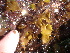  ( - GWS013562)  @13 [ ] CreativeCommons - Attribution Non-Commercial Share-Alike (2010) Unspecified University of New Brunswick